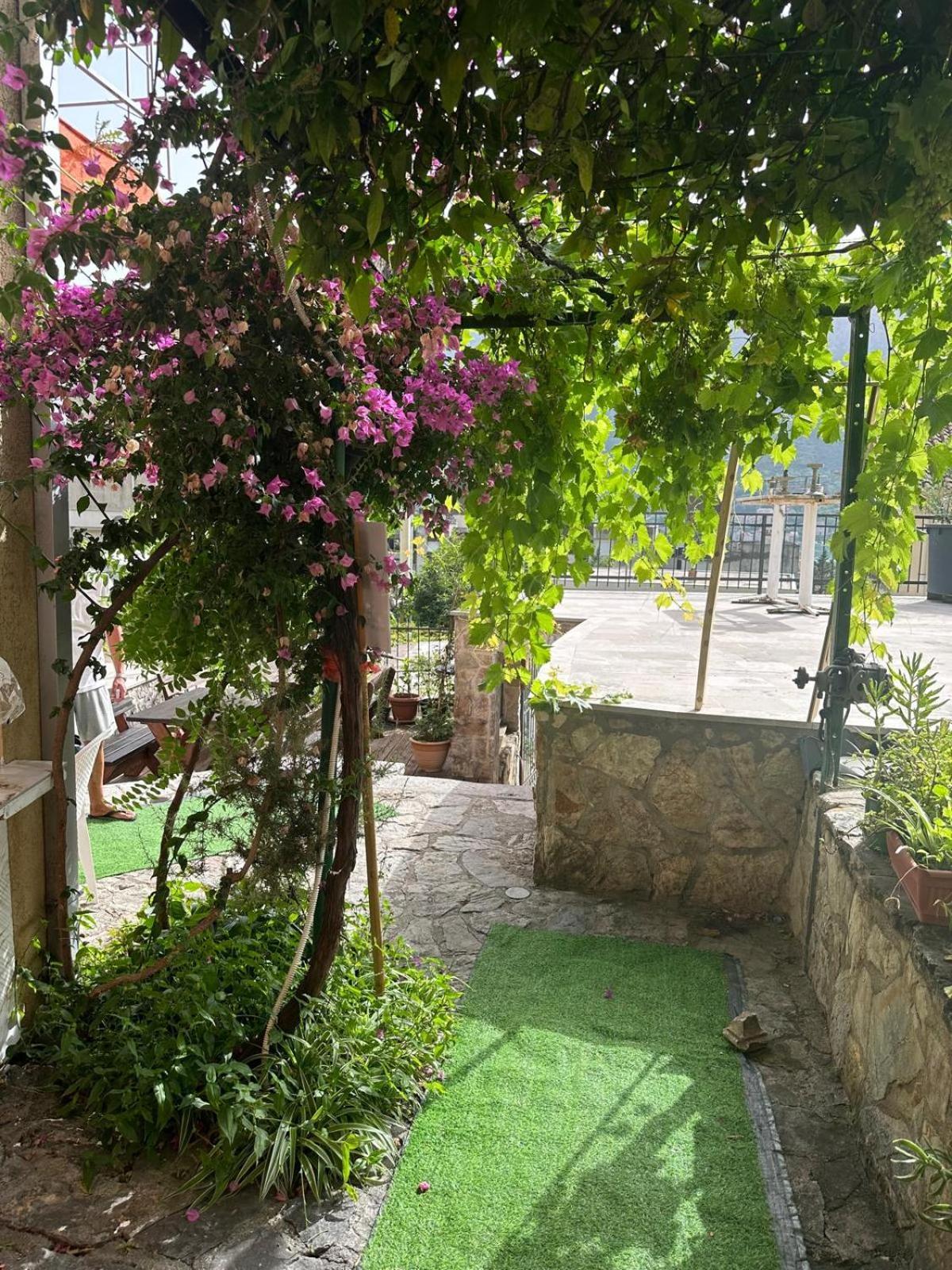 Themis Apart Hotel Kotor Kültér fotó