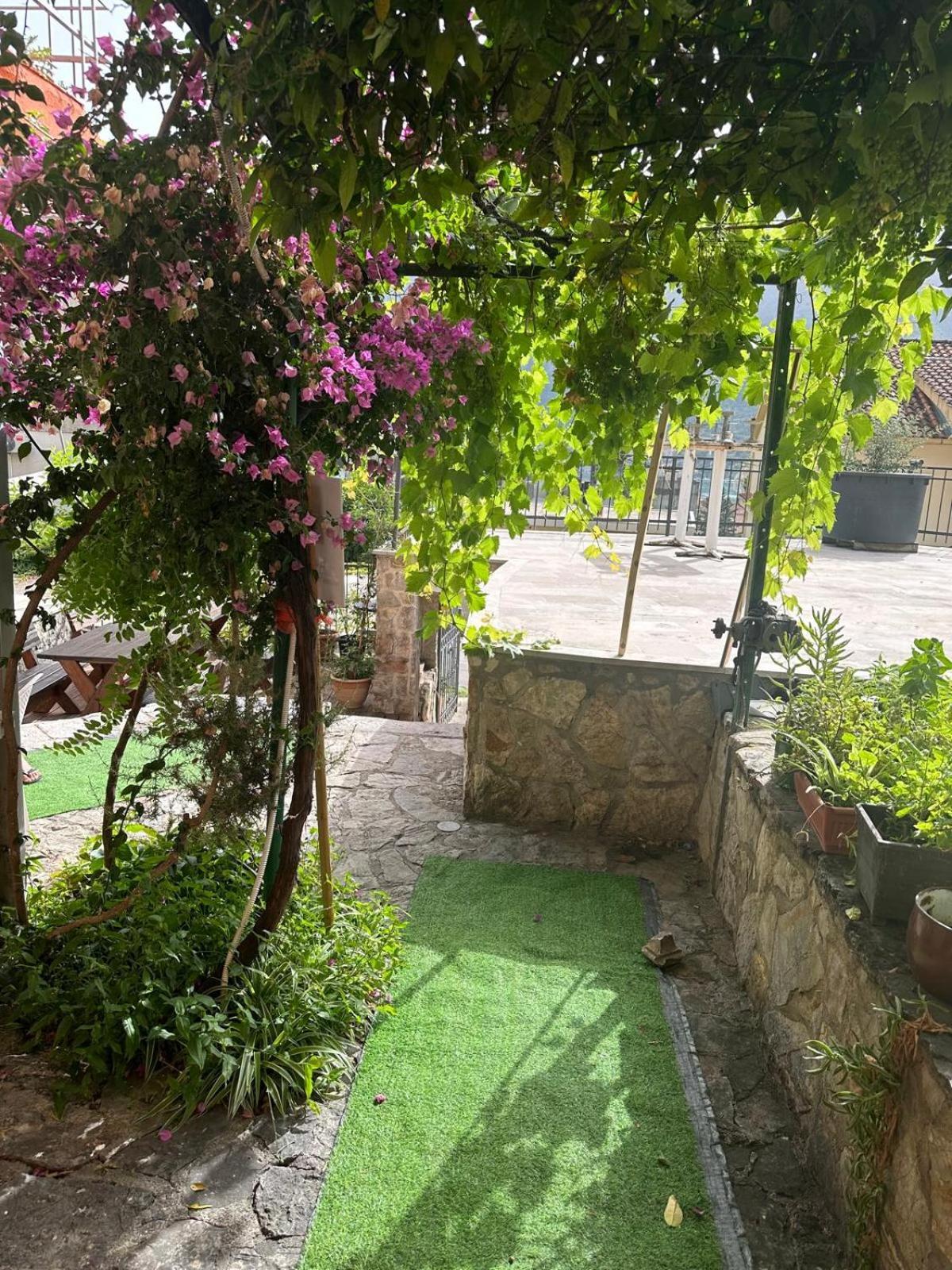 Themis Apart Hotel Kotor Kültér fotó