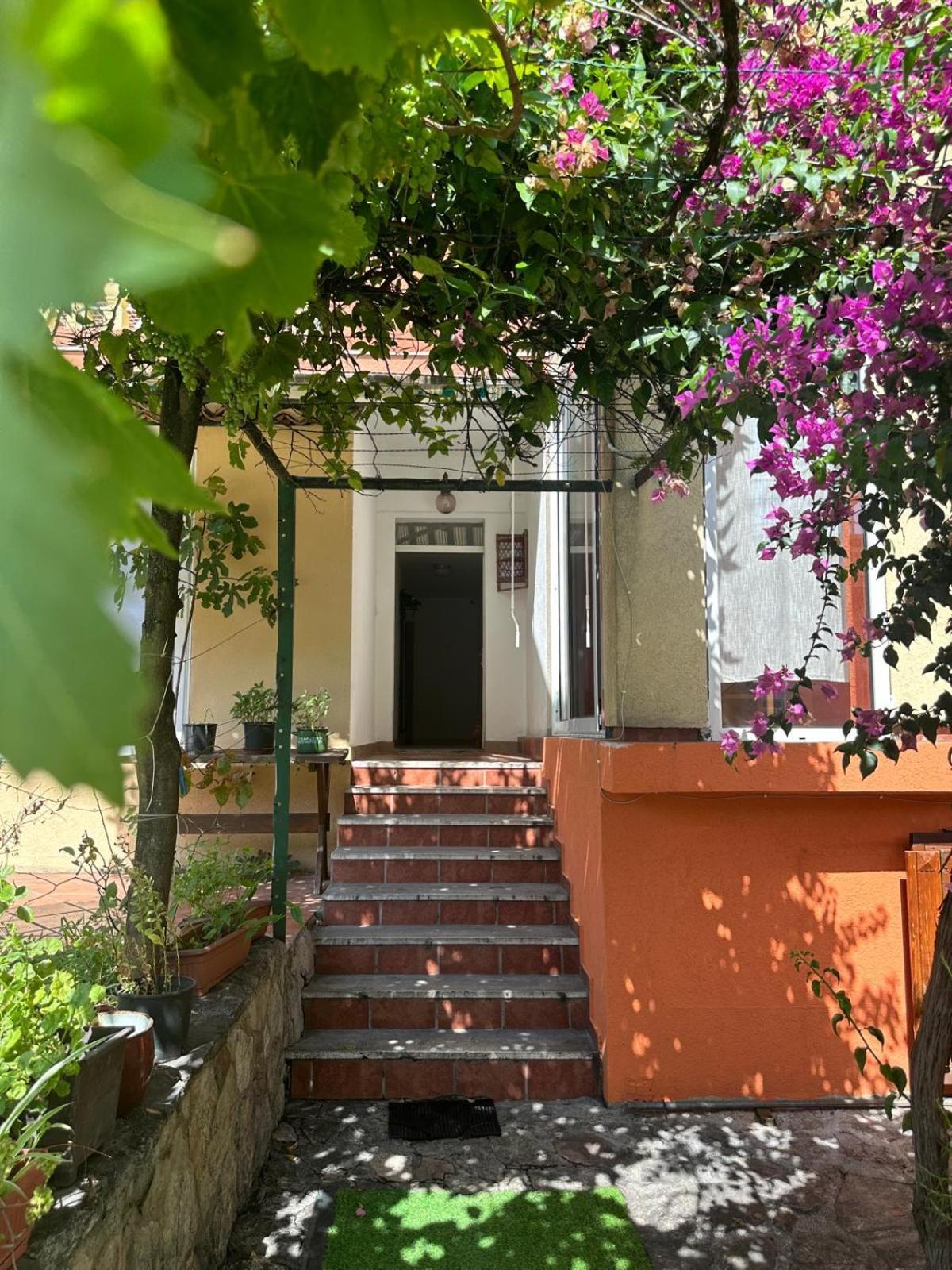 Themis Apart Hotel Kotor Kültér fotó